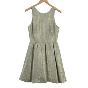 Alexandra Grecco Women's Gray & Gold Metallic Back Zip Fit & Flare Dress Size 8